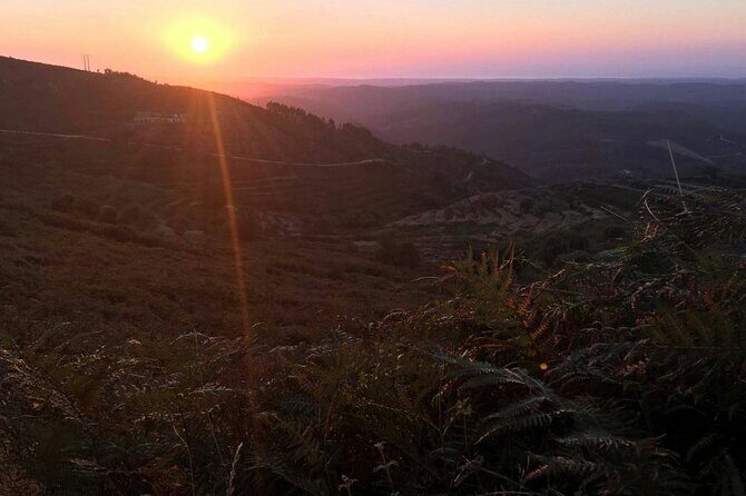 Evening 4x4 Tour of Monchique Hills with Dinner - FAQ Section