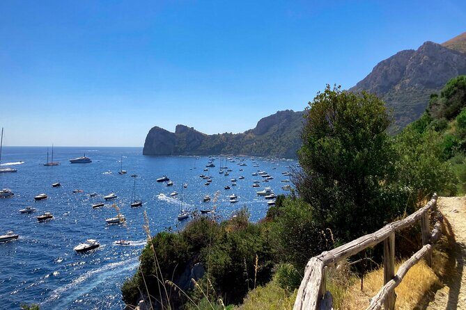 Evening Boat Tour with Dinner Experience - Final Thoughts