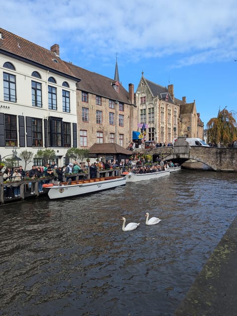 Evening Delights: Bruges Tour with Beer & Chocolate - Key Points