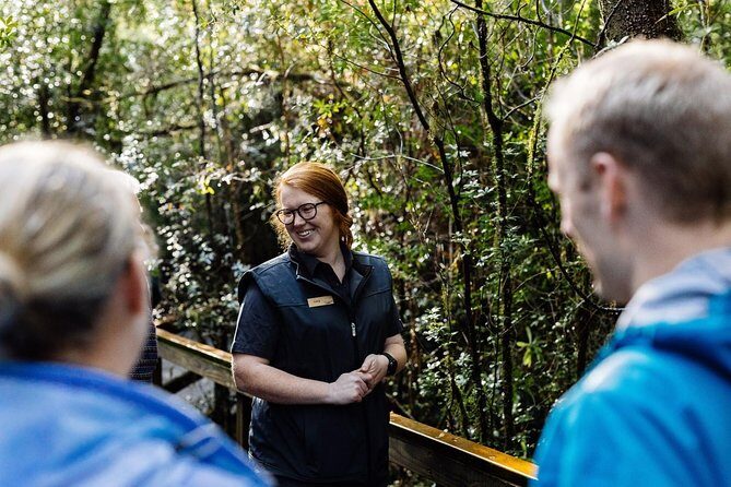 Evening Dinner Cruise - An In-Depth Look at the Experience