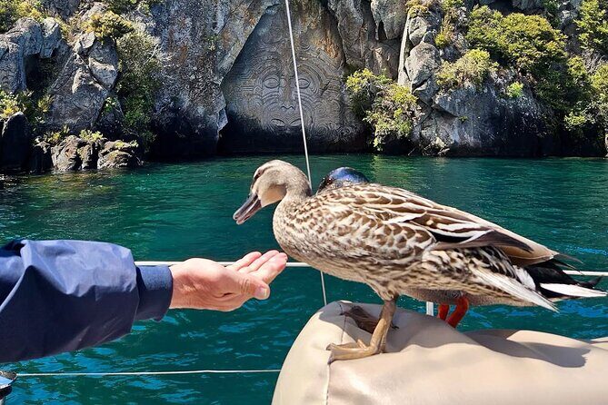 Evening Eco Sailing Adventure to Mori Rock Carvings Lake Taup - Final Thoughts