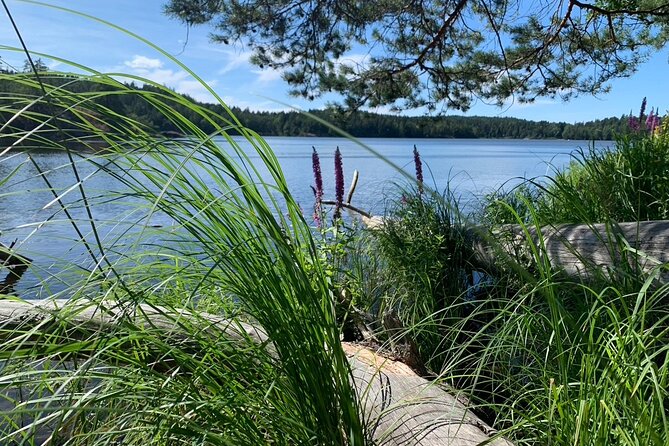 Evening Hike in Tyresta National Park - Overview of the Hike