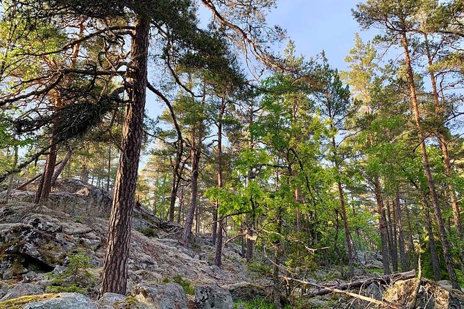 Evening Hike in Tyresta National Park - Important Accessibility Information