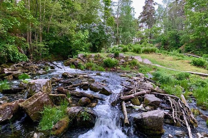 Evening Hike in Tyresta National Park - Customer Feedback Highlights
