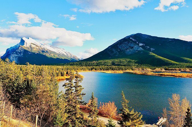 Evening Private Tour Best of Banff Wildlife - Price and Value