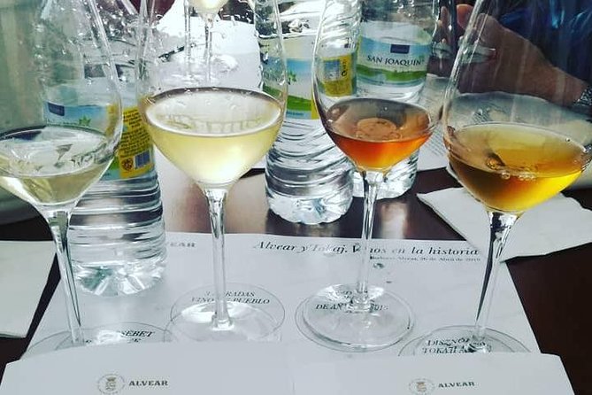 Evening Wine Tasting Córdoba - Detailed Information About the Tour