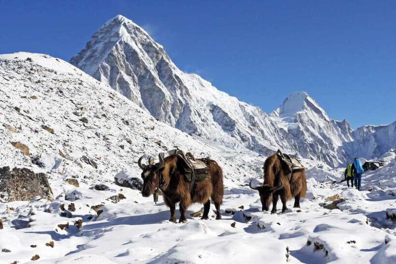 Everest Base Camp Short Trek- 12 Days - The Sum Up