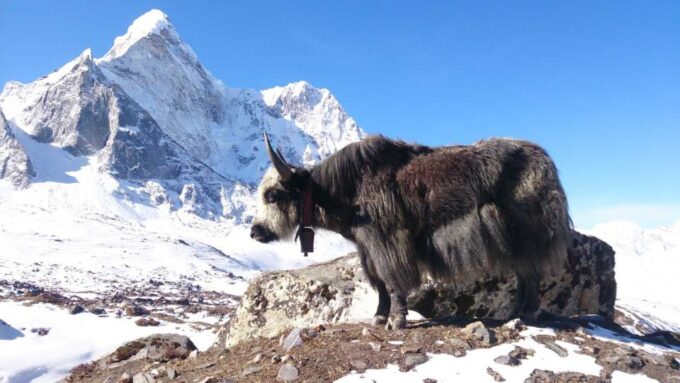 Everest Base Camp Trek - 12 Days - Essential Packing List