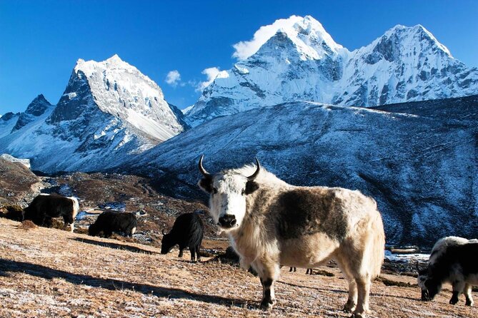 Everest Base Camp Trek -14 Days - Key Points