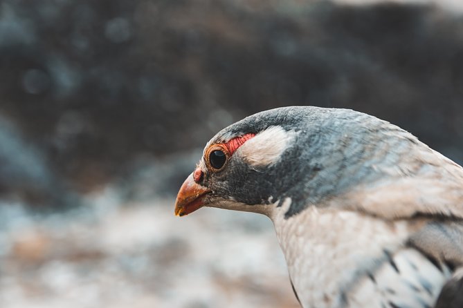 Everest Base Camp Trek - Pickup and Meeting Details