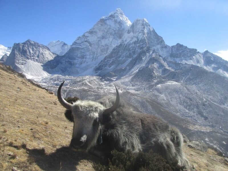 Everest Helicopter Tour 1 Day - Itinerary Highlights