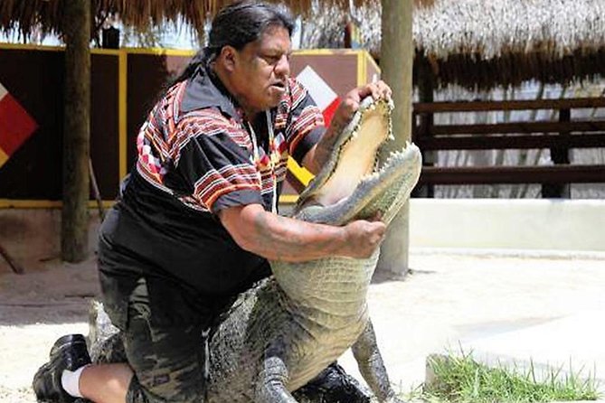 Everglades Air Boat Ride + Alligator Show. - Air Boat Ride