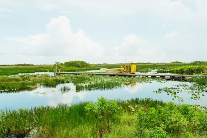 Everglades Airboat Ride and Nature Walk Private Tour - What Makes This Tour Special?