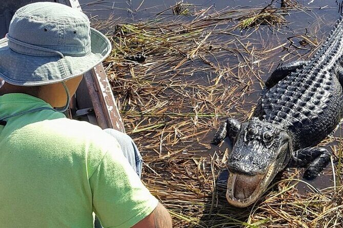 Everglades Airboat Ride and Nature Walk Private Tour - Who Will Love This Tour?