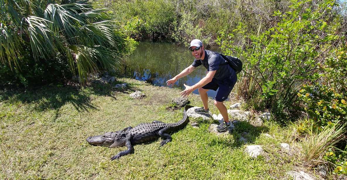 Everglades Airboat Ride & Guided Hike - Group Size
