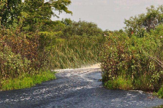 Everglades Airboat Tour Near Orlando Florida - Meeting and Pickup