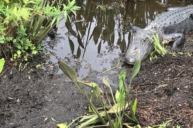 Everglades Airboat Tour Near Orlando Florida - Directions