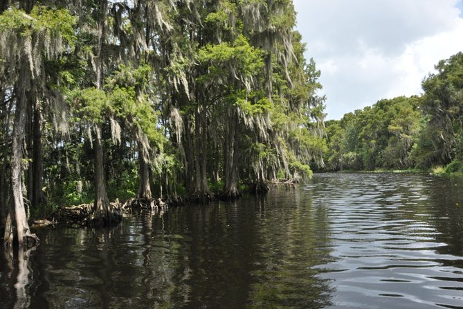 Everglades Airboat Tour Near Orlando Florida - Frequently Asked Questions