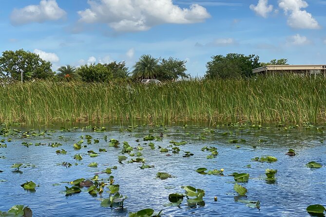 Everglades Airboat Tour Review: Is It Worth It - Is the Everglades Airboat Tour Worth It?
