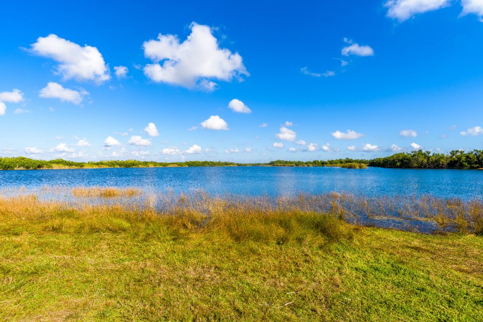 Everglades & Big Cypress Self Guided Driving Tour Bundle - Big Cypress Tour Highlights