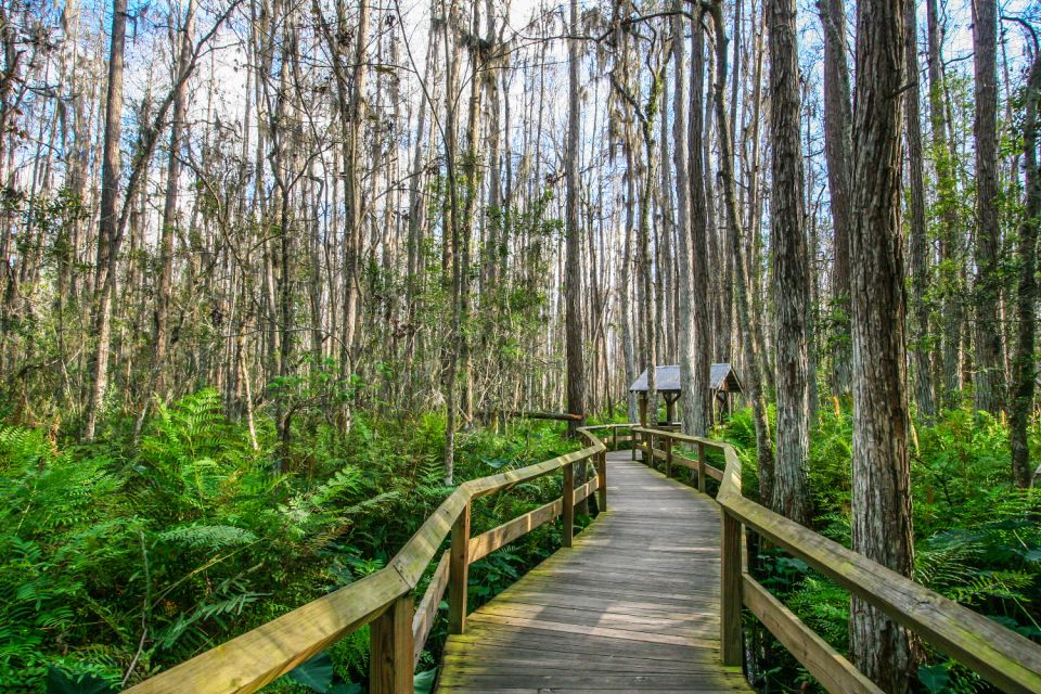 Everglades & Big Cypress Self Guided Driving Tour Bundle - Starting Point and Directions