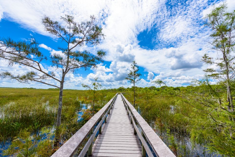 Everglades & Big Cypress Self Guided Driving Tour Bundle - Important Considerations