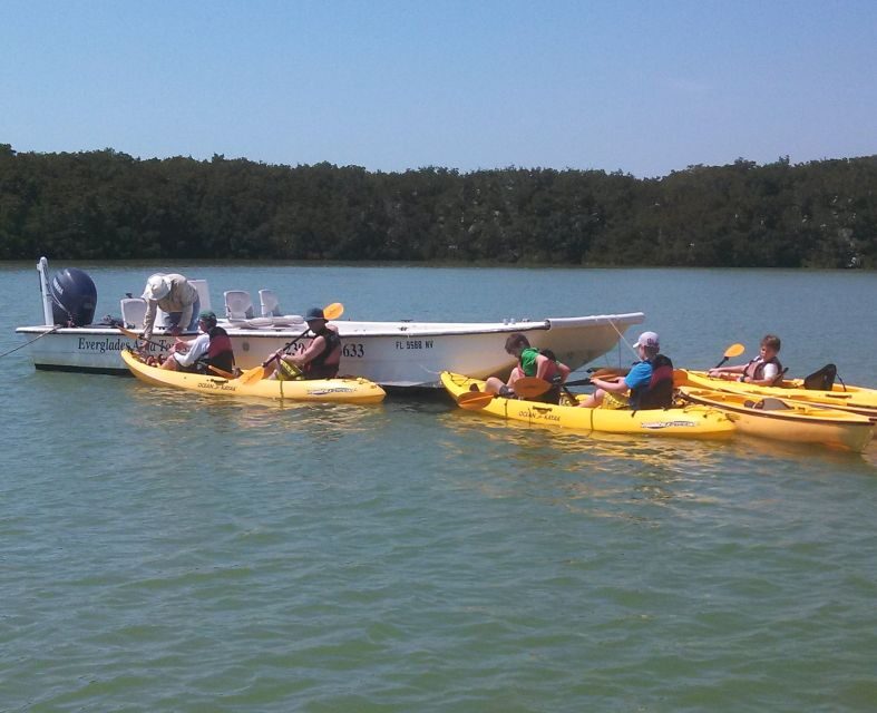 Everglades: Boat Assisted Kayak Eco Tour - Key Points