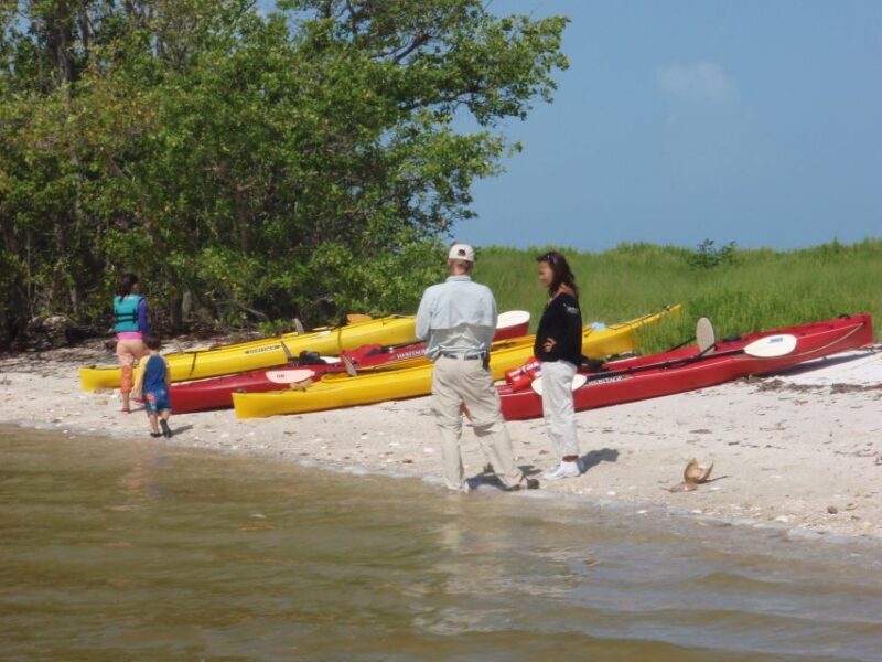 Everglades: Boat Assisted Kayak Eco Tour - An Authentic Look at Floridas Everglades