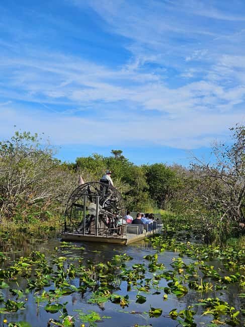 Everglades: boat tour with transportation& entrance included - An In-Depth Look at the Tour Experience  