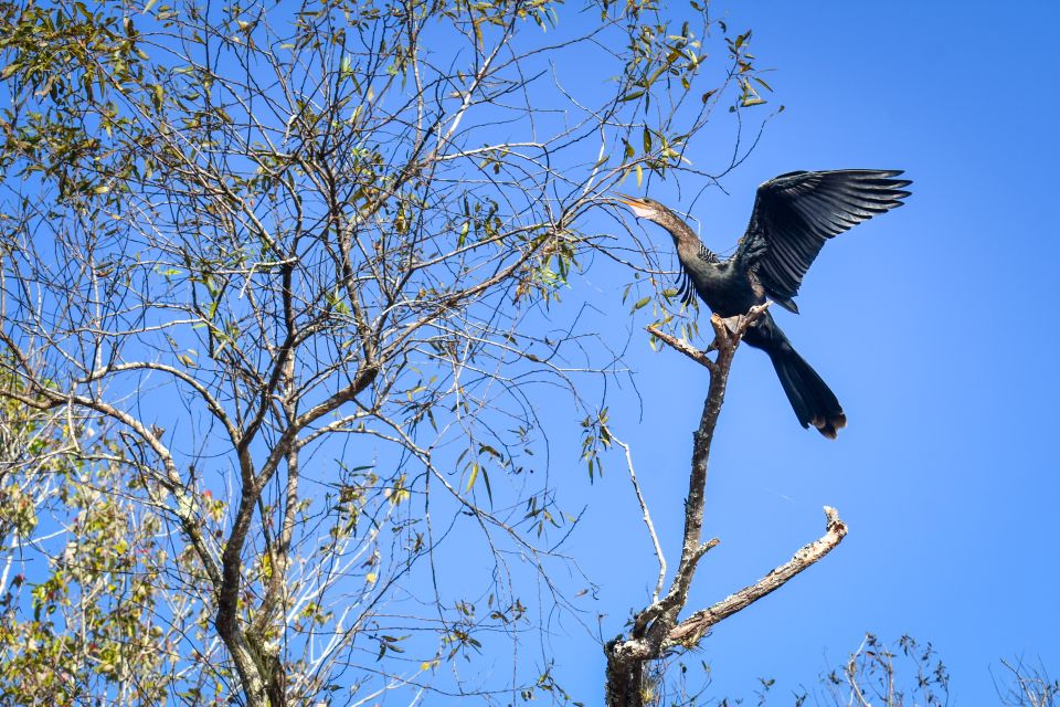 Everglades City: Guided Kayaking Tour of the Wetlands - Kayaking Orientation