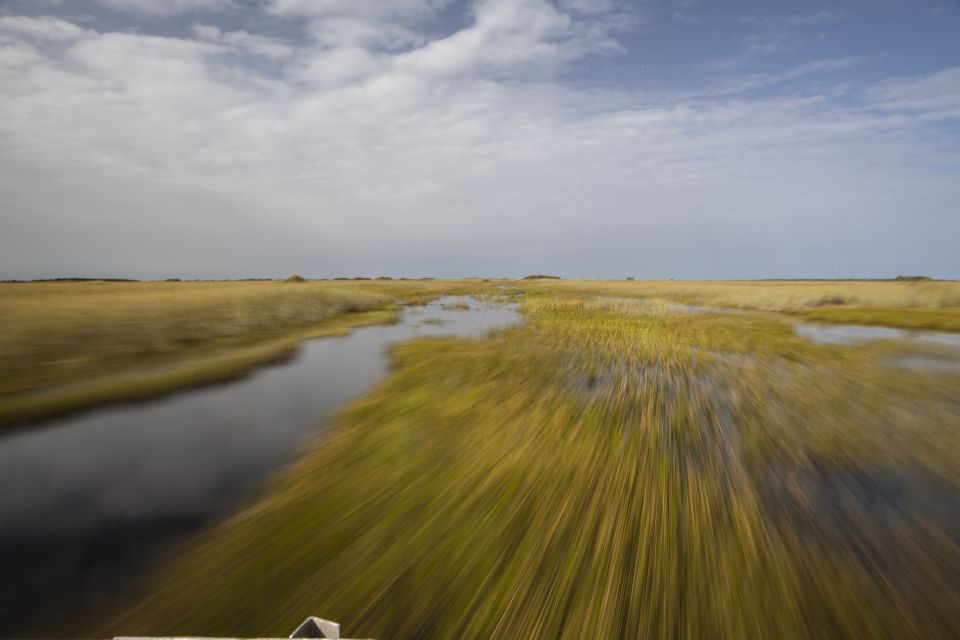 Everglades Day Safari From Fort Lauderdale - Key Points