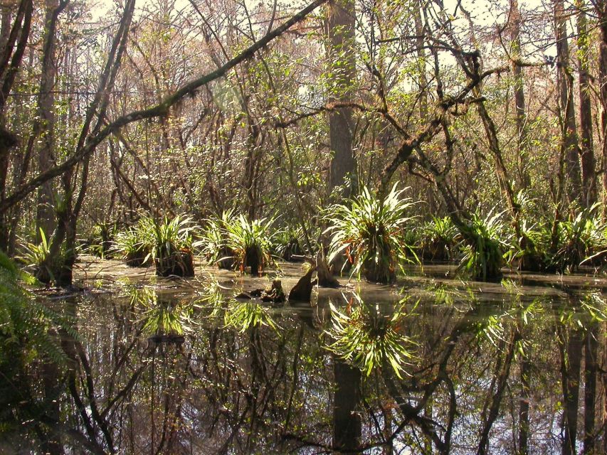 Everglades Day Safari From Fort Lauderdale - Frequently Asked Questions