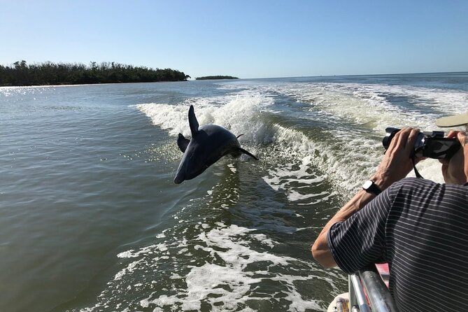 Everglades Day Safari From Ft Lauderdale - Tour Details