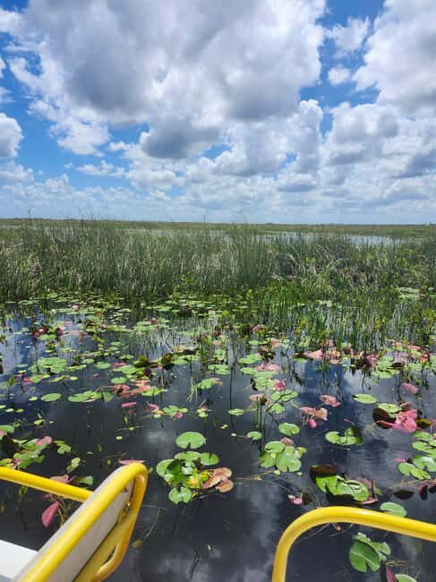 Everglades Eco Airboat Tour small group & top transportation - Key Points