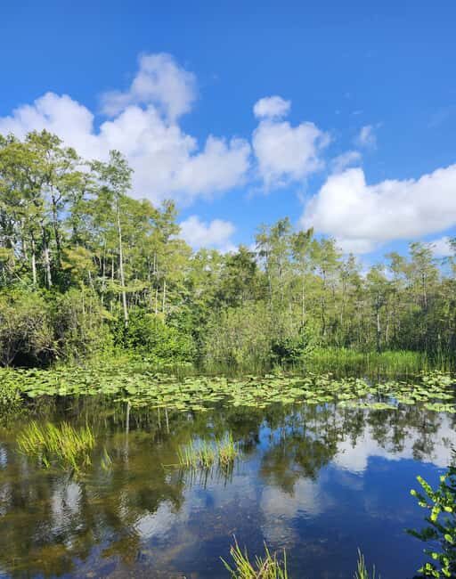 Everglades Eco Airboat Tour small group & top transportation - A Deep Dive into the Everglades Eco Tour