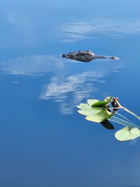 Everglades Eco Airboat Tour small group & top transportation - What to Expect From the Itinerary
