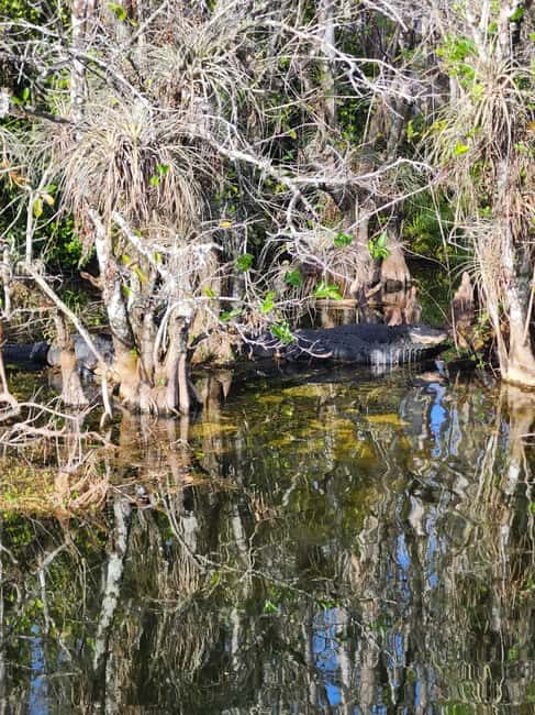 Everglades Eco Airboat Tour small group & top transportation - Who Will Love This Tour?