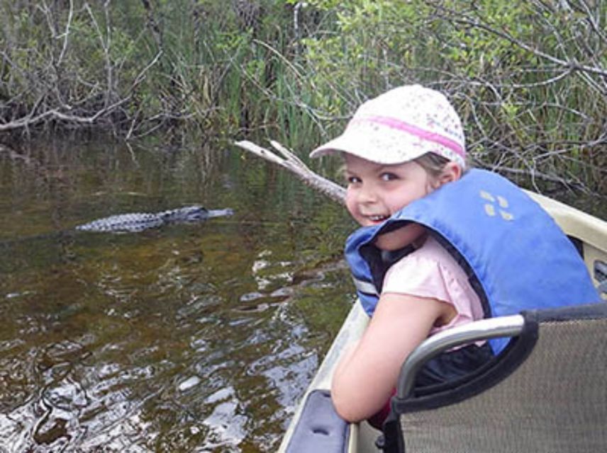 Everglades: Everglades Alligators and Orchids Kayak Eco Tour - Prohibited Items