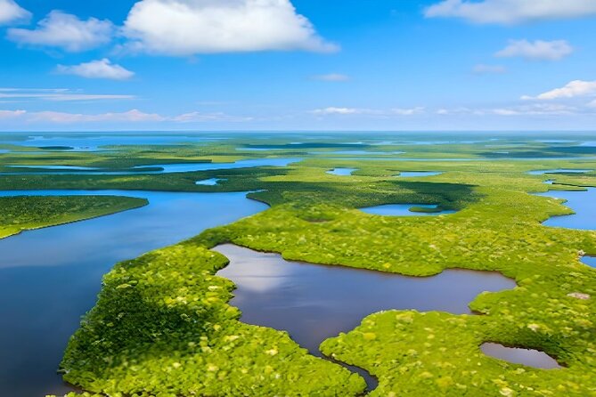 Everglades Immersion Tour: The Ultimate Everglades Adventure - Exploring the Diverse Ecosystems