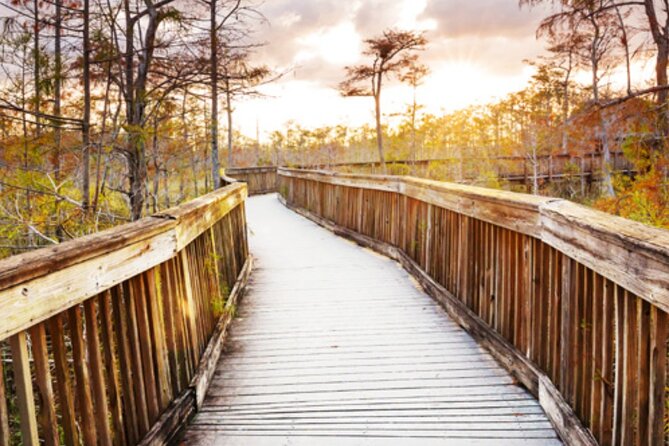 Everglades Immersion Tour: The Ultimate Everglades Adventure - Thrilling and Informative Experience