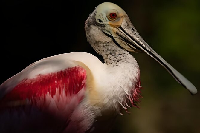 Everglades Immersion Tour: The Ultimate Everglades Adventure - Questions About Your Stay