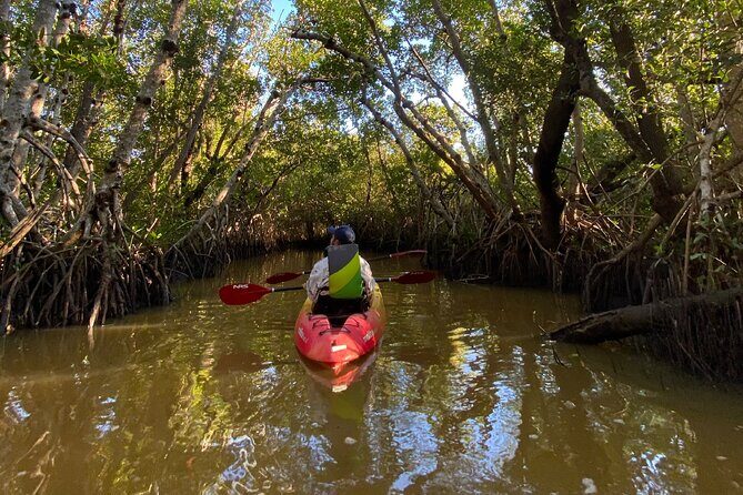 Everglades Kayak & Canoe Rentals - An In-Depth Look at the Kayak and Canoe Experience
