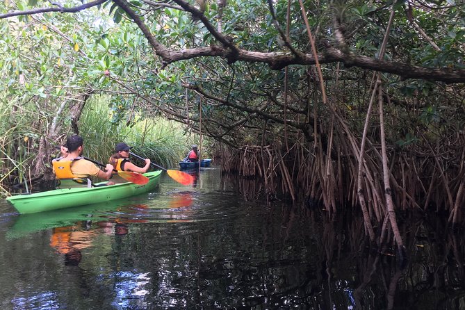 Everglades Kayak Safari Adventure Through Mangrove Tunnels - Conservation Education and Efforts
