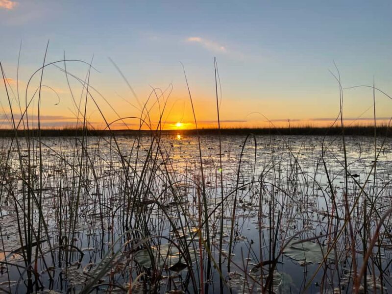 Everglades: Miami River of Grass Private Airboat Sunset Tour - FAQ