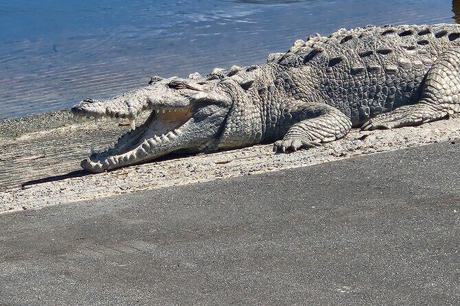 Everglades National Park: 3 Hikes + 90 minute Boat Tour + Lunch - What Travelers Say