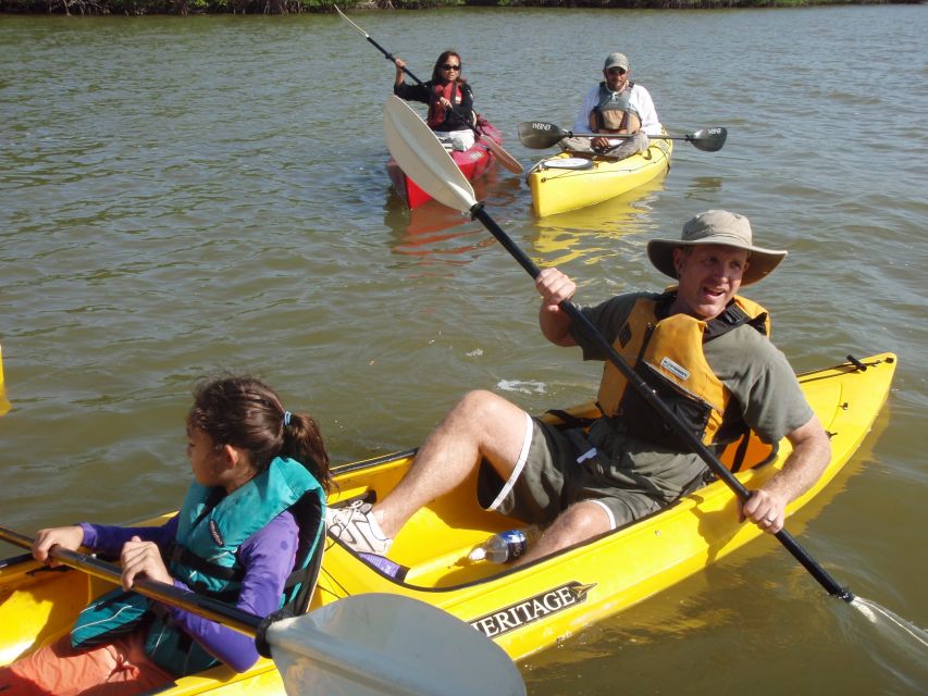 Everglades National Park 3-Hour Kayak Eco Tour - Wildlife Encounters