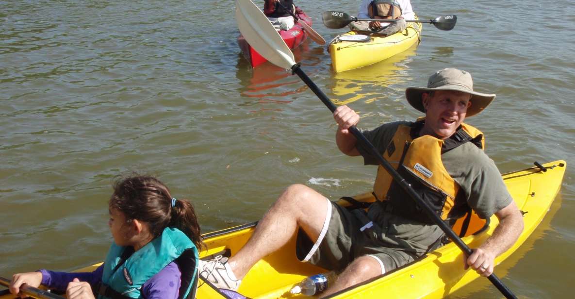 Everglades National Park 3-Hour Kayak Eco Tour - Kayaking Experiences