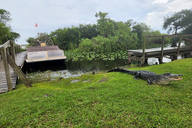 Everglades National Park Biologist Led Adventure: Cruise, Hike + Airboat - Adventure Directions