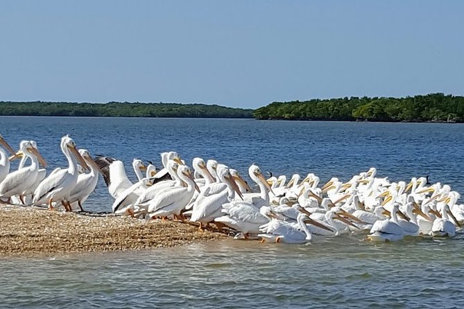 Everglades National Park Biologist Led Adventure: Cruise, Hike + Airboat - Frequently Asked Questions
