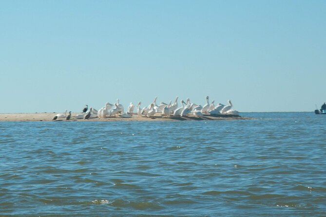 Everglades National Park Kayak/Learn to Sail Tour - Tour Highlights and Praises